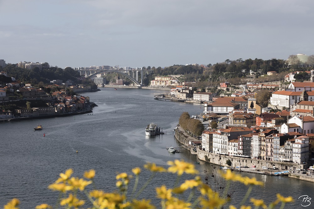 Ponte da Arrabida