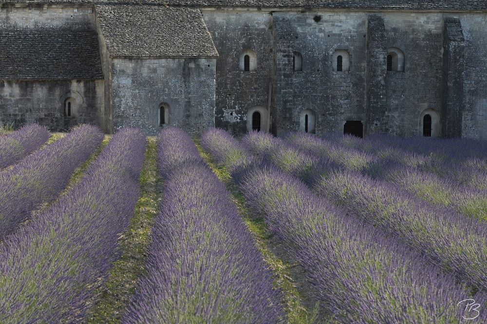 Kloster Senanque