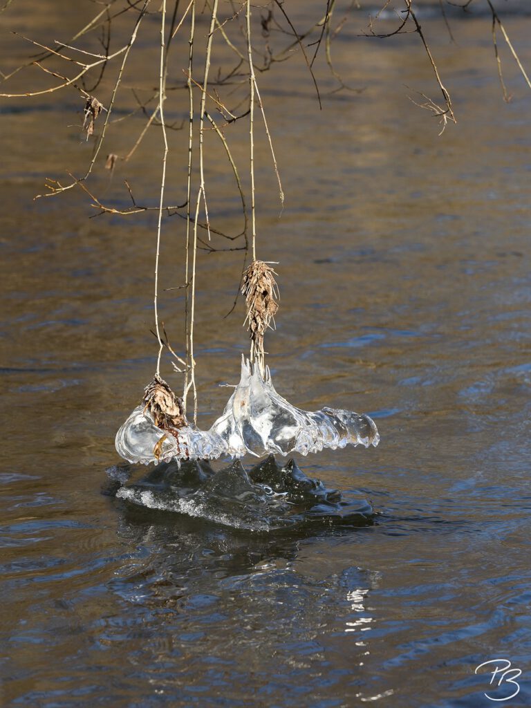 Eisskulptur