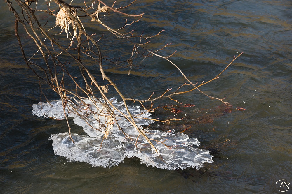 Eisläufer