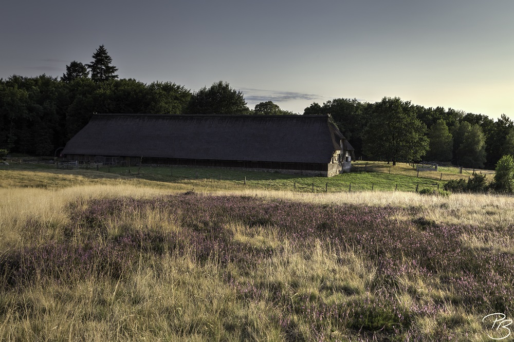 Heide-Stall