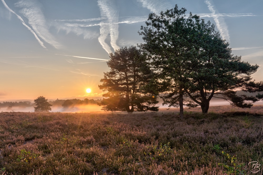 Mehlinger Heide