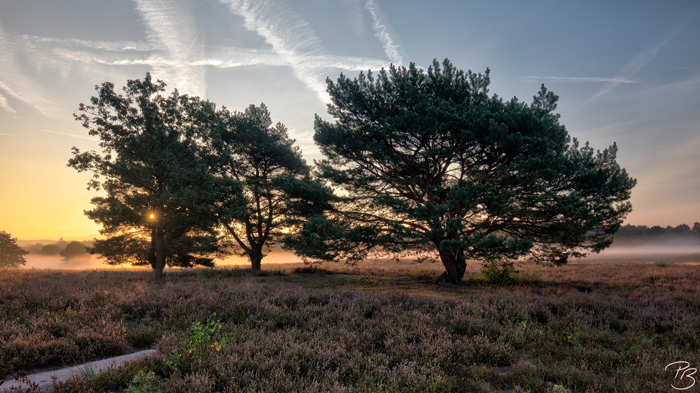 Mehlinger Heide