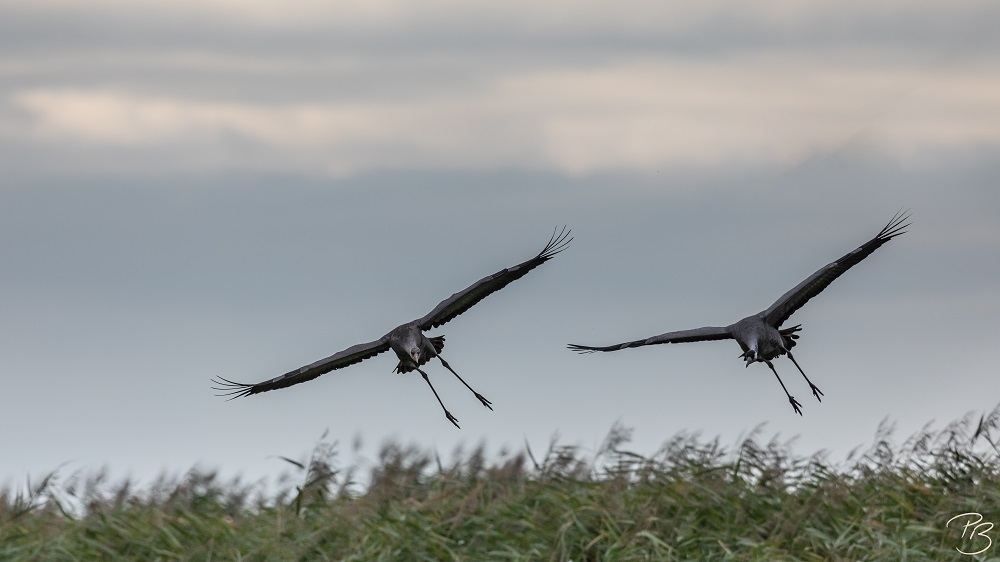 Landeanflug