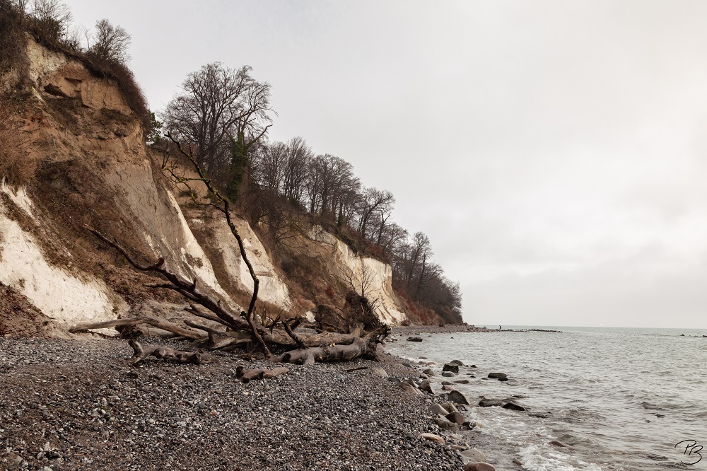 Kreidefelsen Rügen