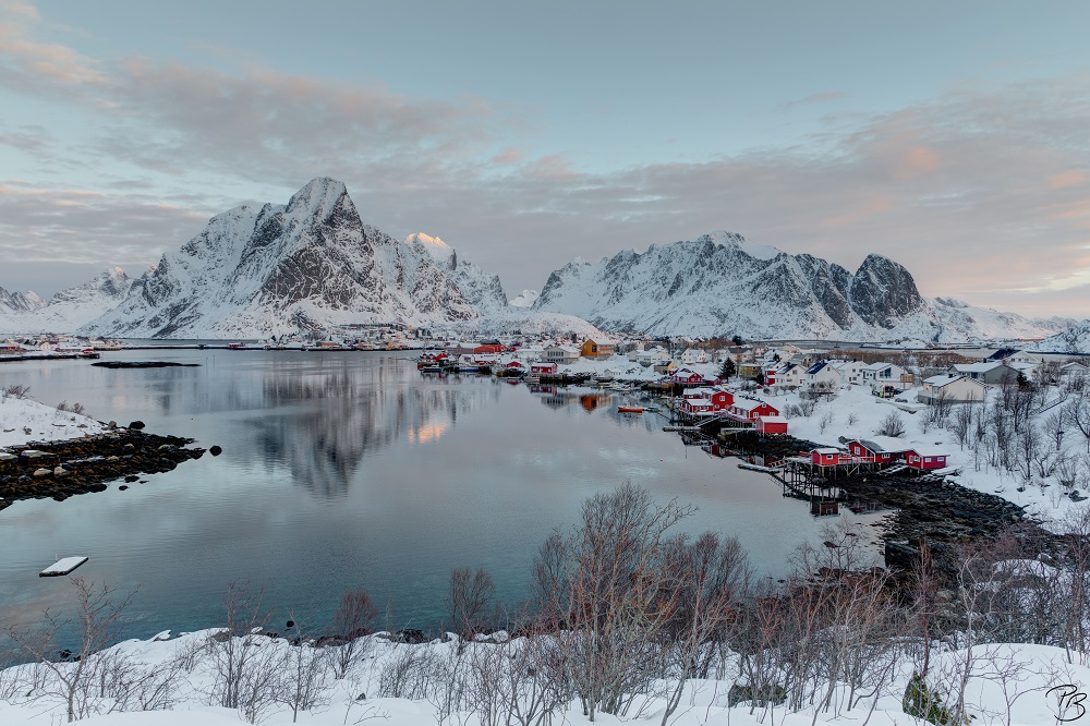 Reine