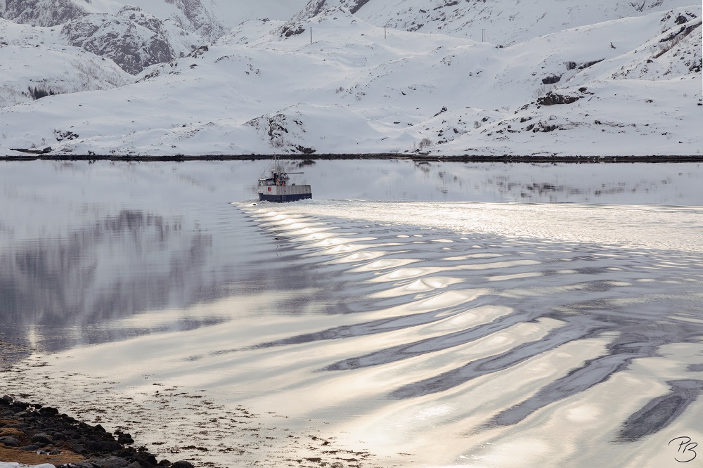 Lofoten