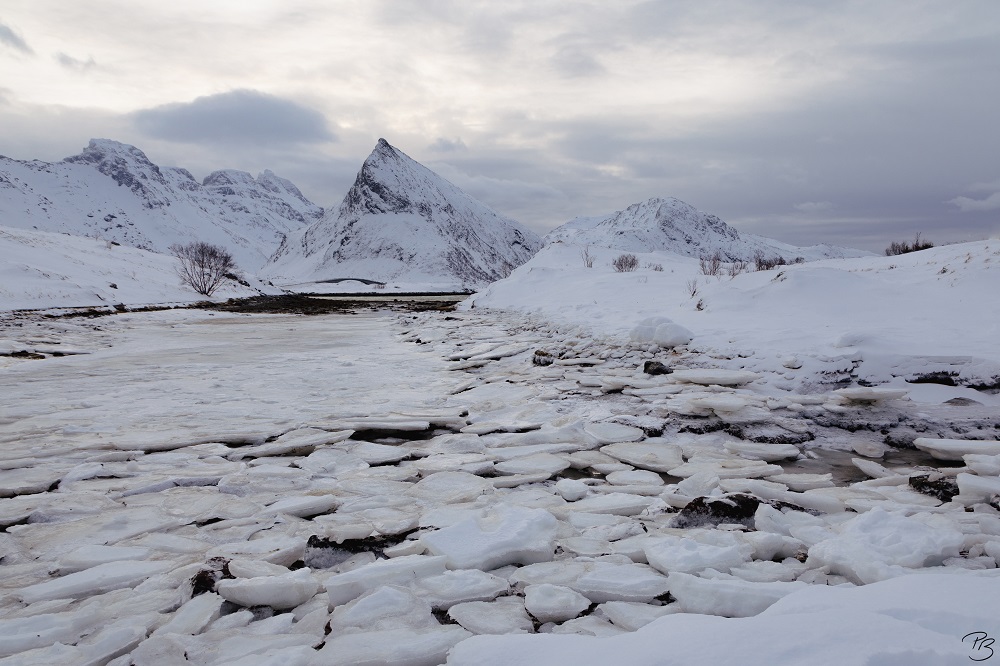 Lofoten