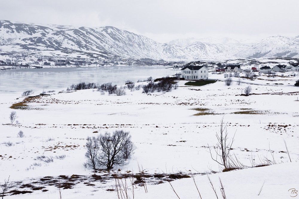 Lofoten