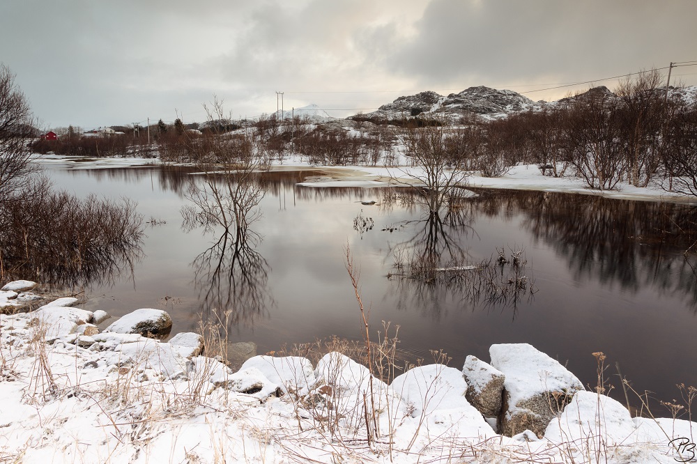 Lofoten