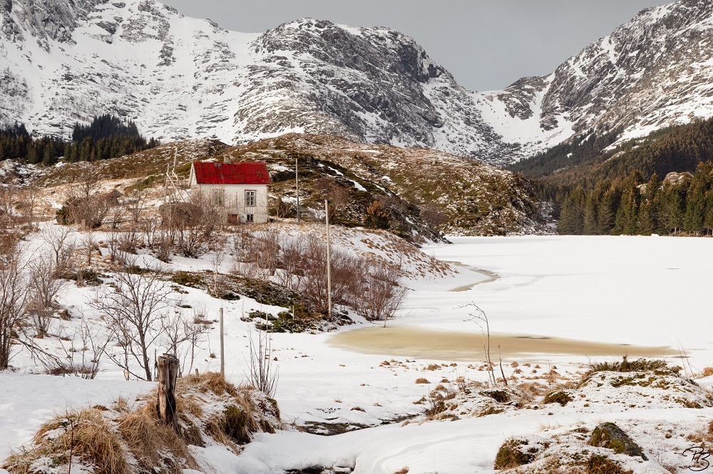 Lofoten