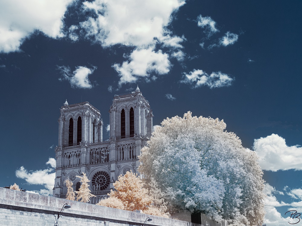 Cathédrale Notre-Dame de Paris