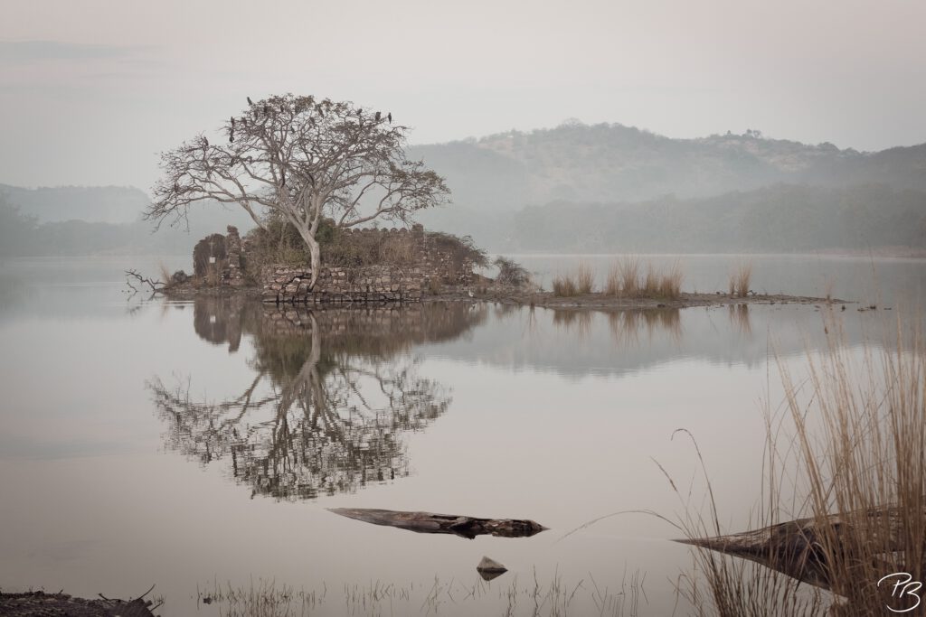 Ranthambore