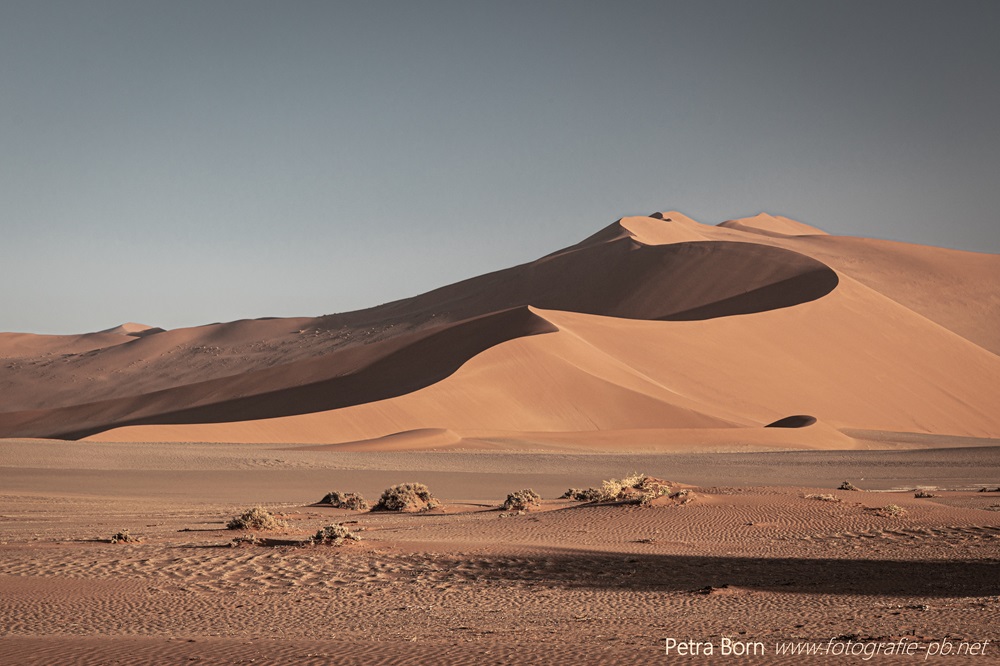 Namib