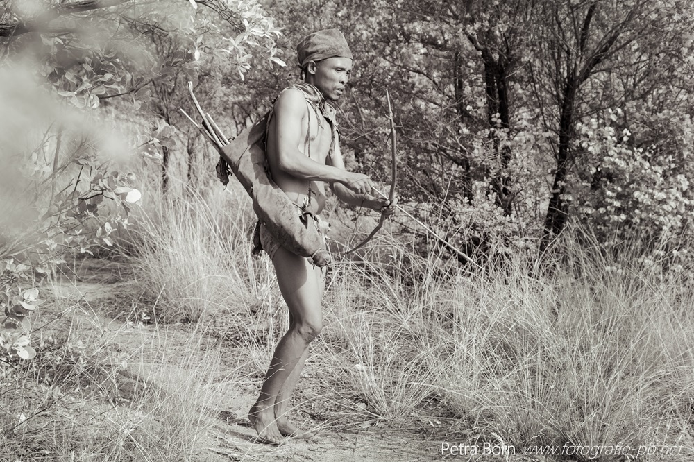 Jäger und Sammler der Khoisan, Botswana