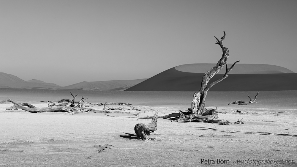 Namib