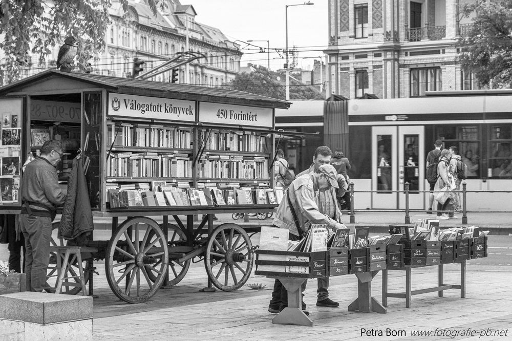 Bücherfreunde
