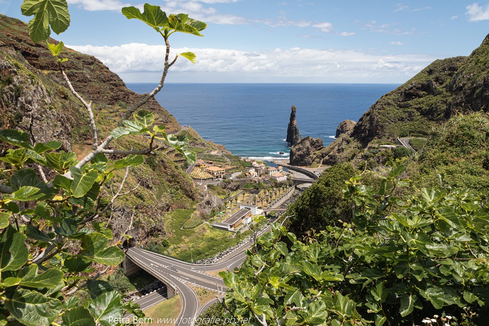 Ilhéus da Ribeira da Janela