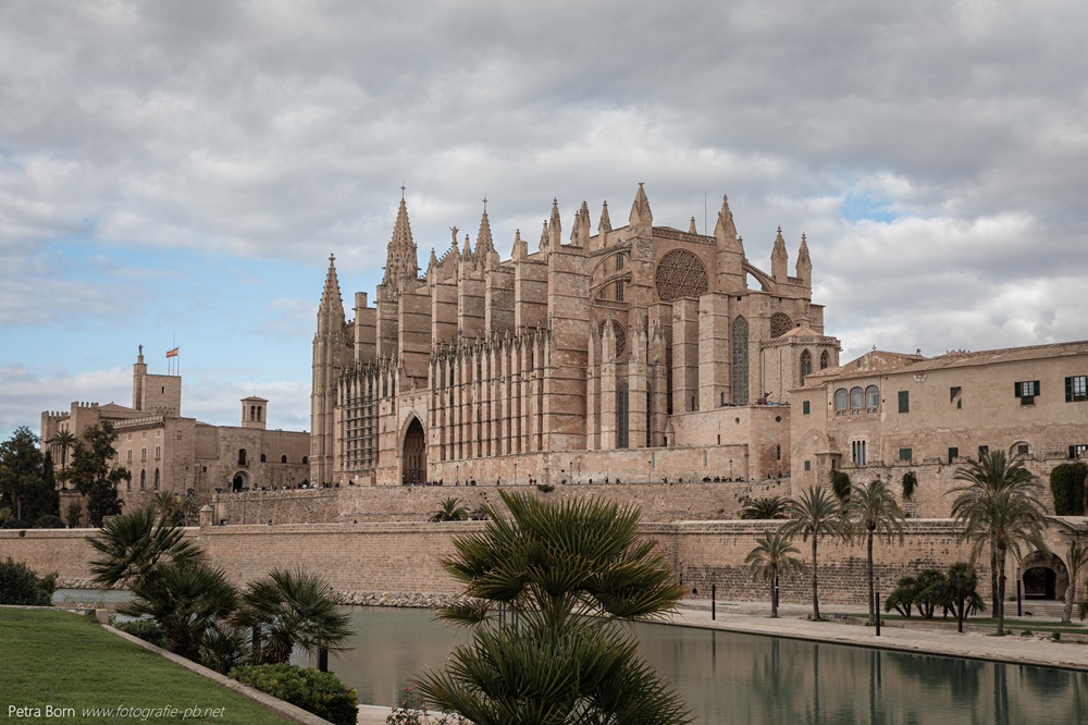La Seu Palma
