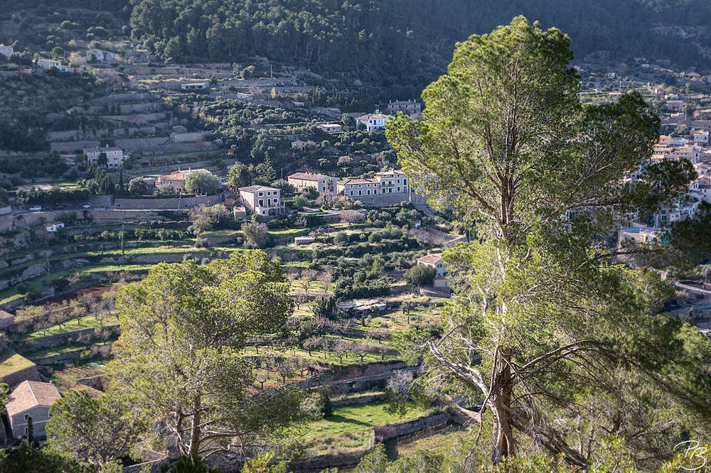 Banyalbufar